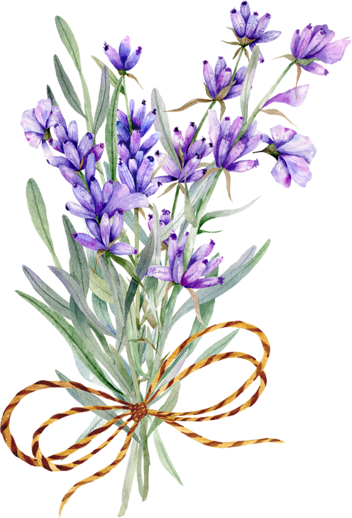 Watercolor Lavender Bouquet, Lavender Flower